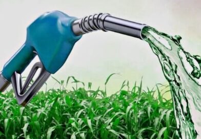 Governo aprova aumento da mistura de biodiesel para 12%